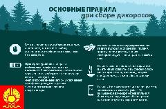 ���� ���������
