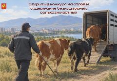 ️�������� �������� ������� �� ����� � ���������� ������������ �������������������� �������� � �. ������.