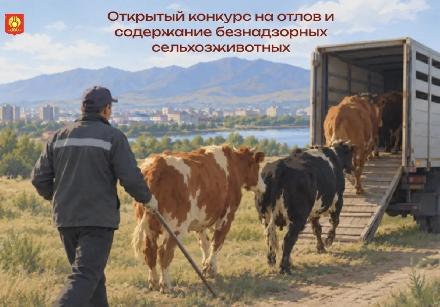 ️�������� �������� ������� �� ����� � ���������� ������������ �������������������� �������� � �. ������.