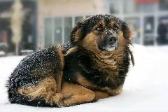 ❄️ ������� ������ � �������� ���� ������� ❄️