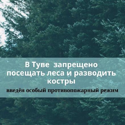 � ���� �������� ������ ��������������� �����