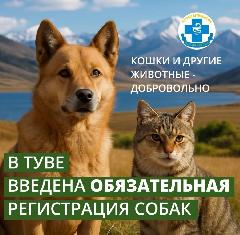 � ���� ��������� ������������ ����������� �������� ��������