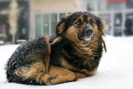 ❄️ ������� ������ � �������� ���� ������� ❄️