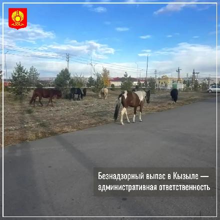 ������� �� ����� ���������� � ������������� ������ ������ ����� ������������� ������ ������������� ������ � �������, ������� �������� ������ �� ������� � �������� �����. 